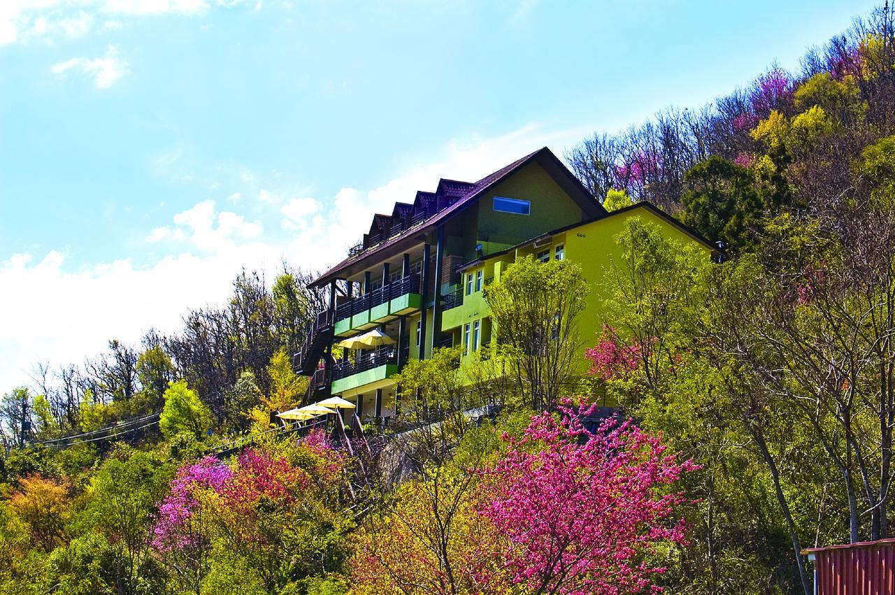 Sunnydale B&B Ренай Экстерьер фото